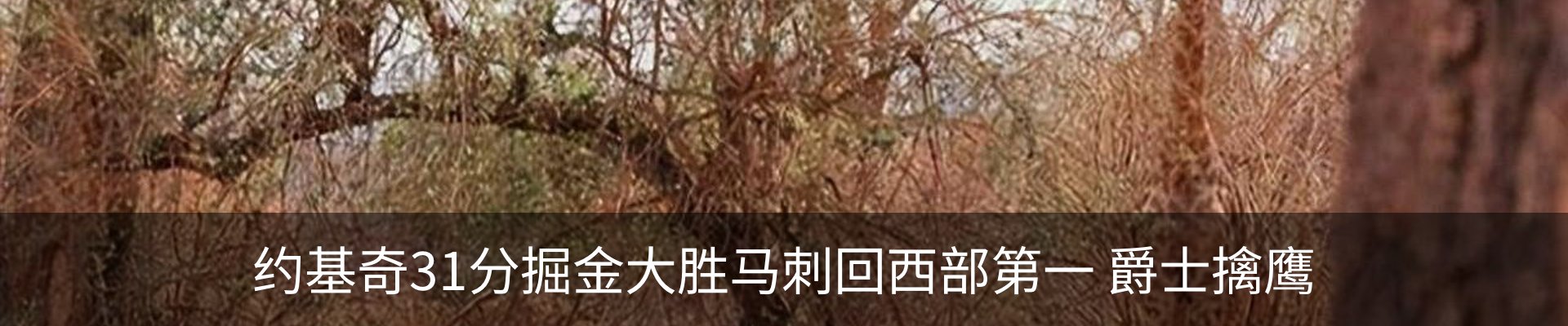 行业资讯